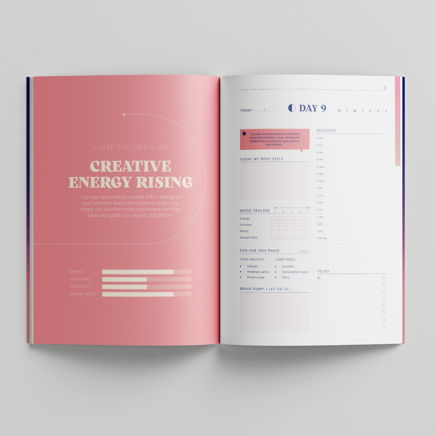 Mid cycle daily pages