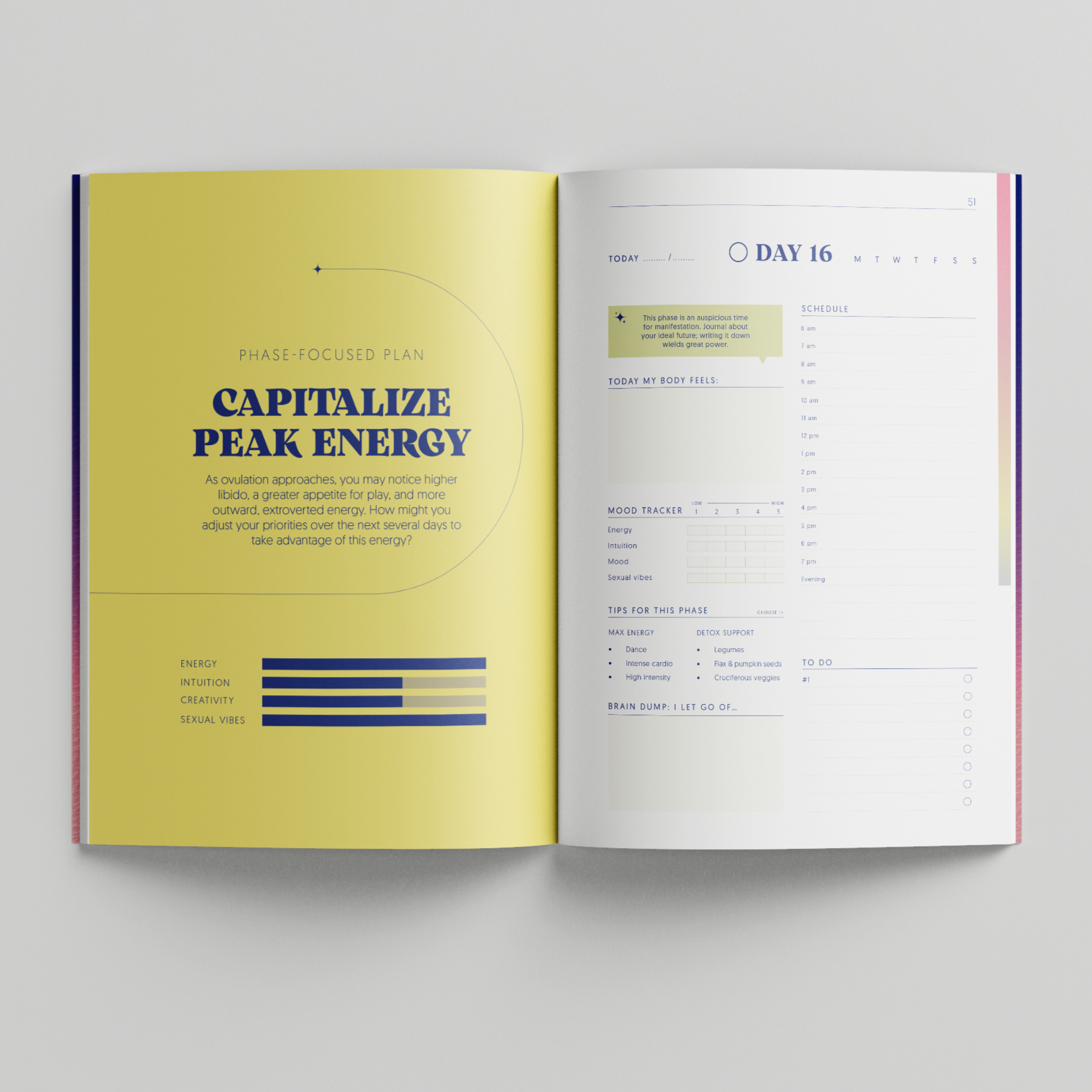 Mid cycle daily pages - align your schedule with your energy.